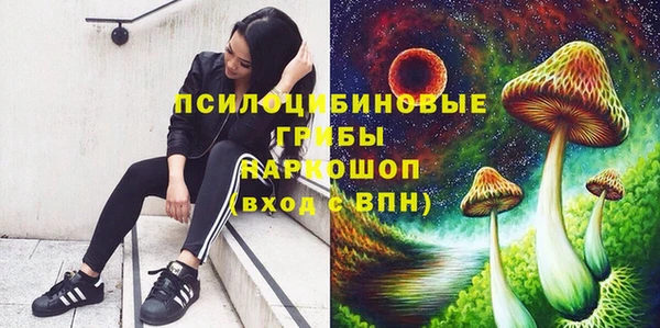 2c-b Беломорск