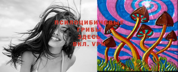 2c-b Беломорск