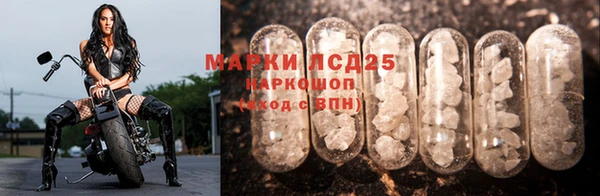 2c-b Беломорск